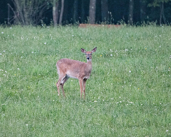 MPW_8282