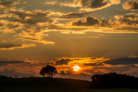 Morrells Hill-94