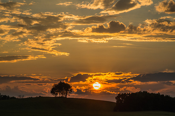 Morrells Hill-94