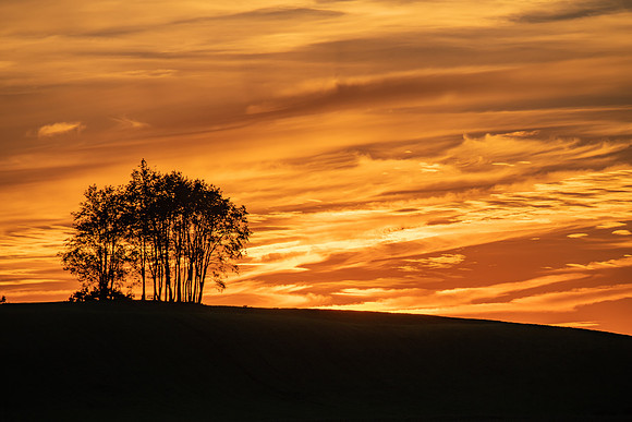 Morrells Hill-39