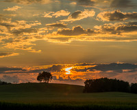 Morrells Hill-93