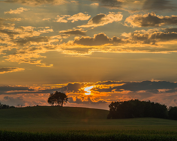 Morrells Hill-93