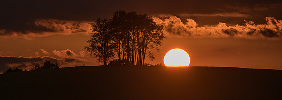 Morrells Hill-63