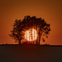 Morrells Hill-80