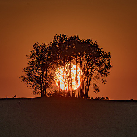 Morrells Hill-80