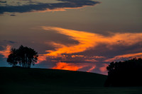 Morrells Hill-14