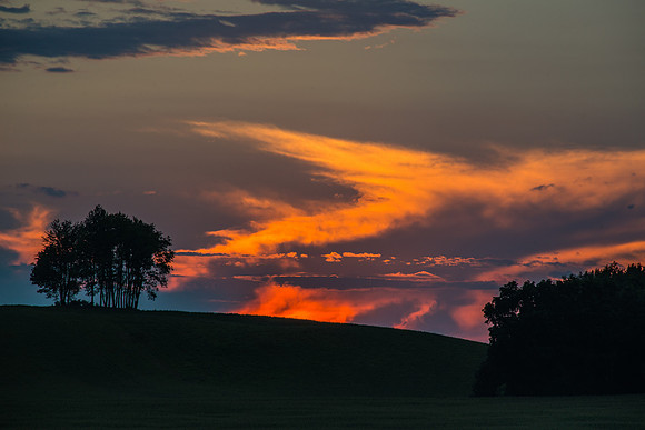 Morrells Hill-14