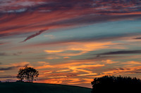 Morrells Hill-57