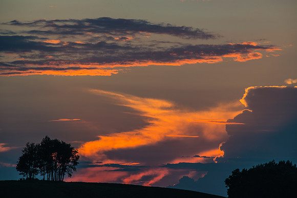 Morrells Hill-17
