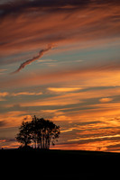 Morrells Hill-53