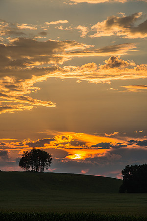 Morrells Hill-95