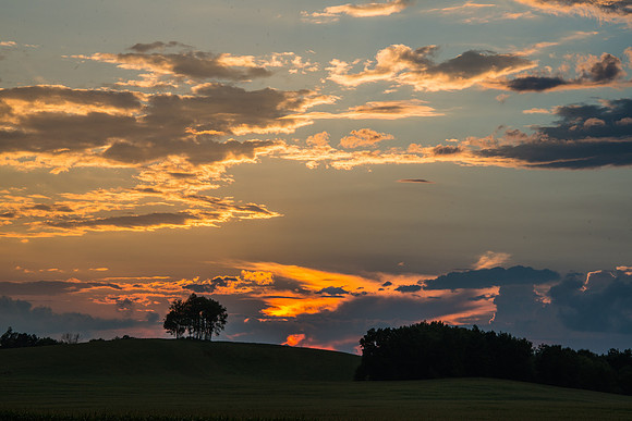 Morrells Hill-97