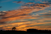 Morrells Hill-51