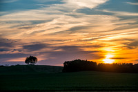 Morrells Hill-91