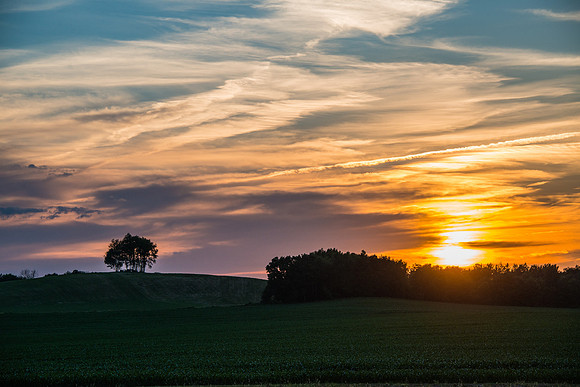 Morrells Hill-91