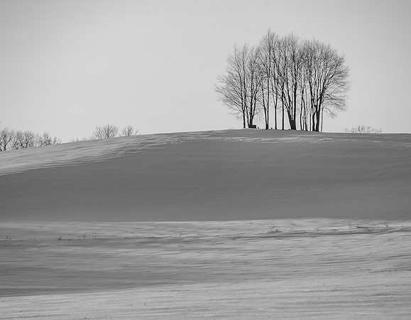 Morrells Hill-7
