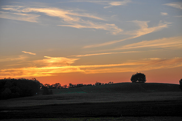 Morrells Hill-6