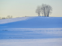 Morrells Hill-1