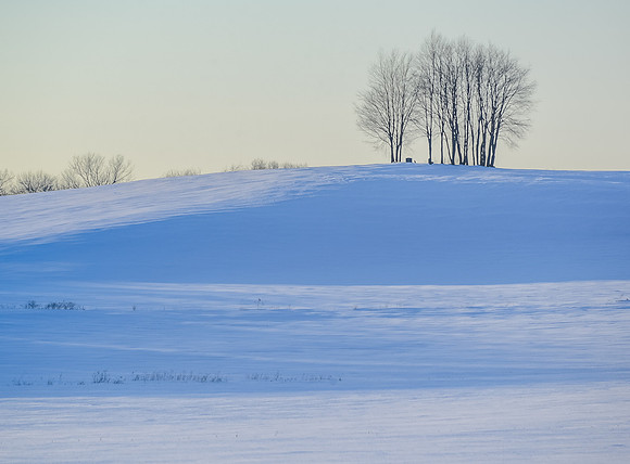 Morrells Hill-1