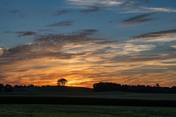 Morrells Hill-37